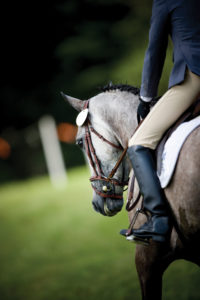 equestrian equipment storage