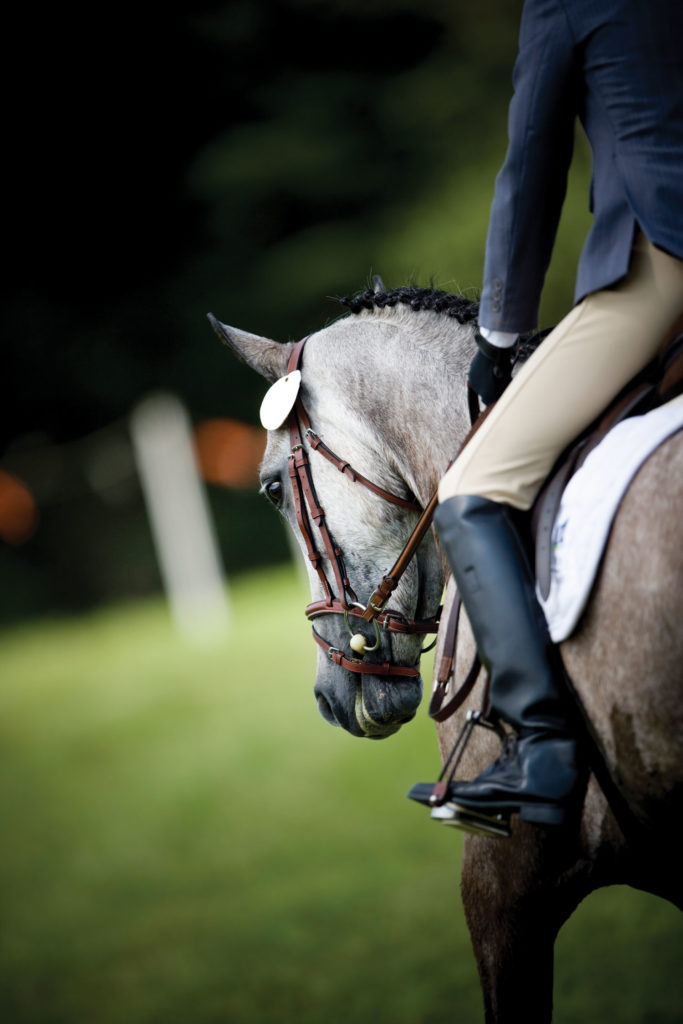 A professional solution for equestrian equipment storage